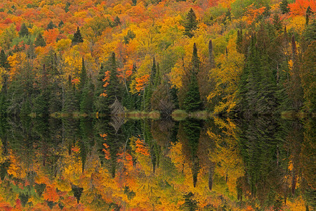 艾伯塔湖沿岸的秋季风景图片