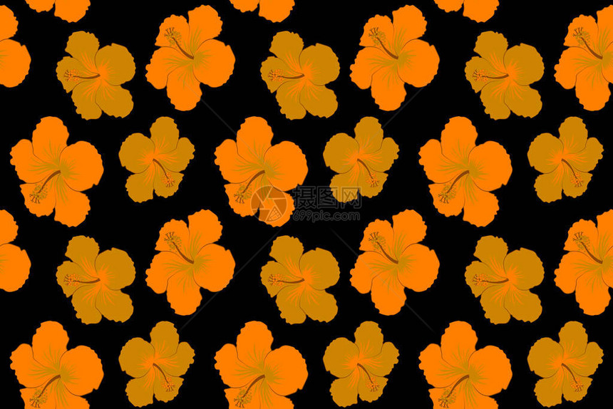 黑底色黄的Hibiscus花朵图片