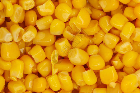 黄色天然玉米图片