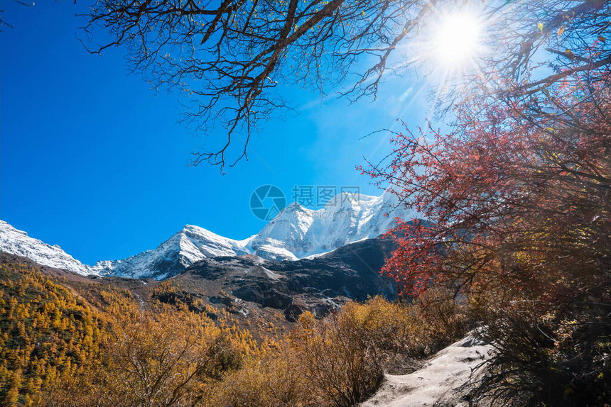 山风景在稻城亚丁的雪山四川图片