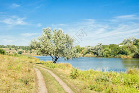 与苏拉河的乌克兰夏天风景图片