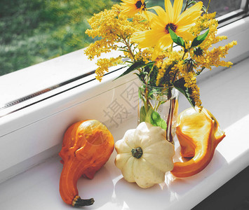 花在南瓜的花瓶中花放在桌上图片