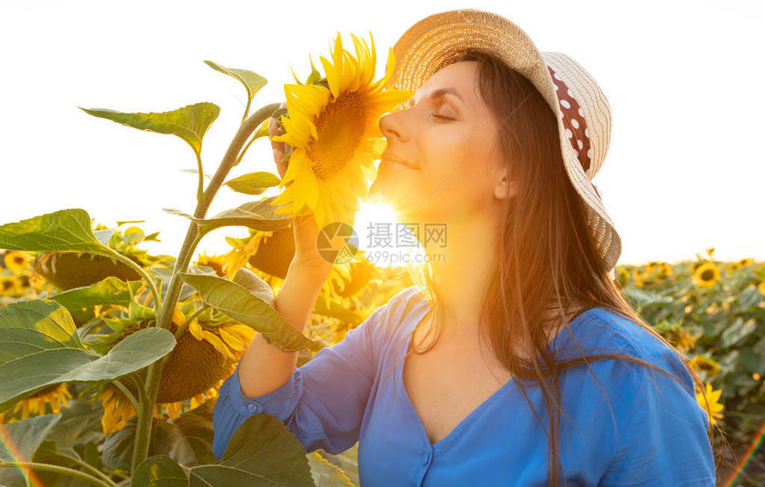 穿着蓝色裙子和帽子的女人在日落时闻到了田里的向日葵图片