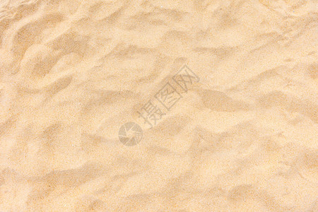 背景和纹理沙滩质近尾在夏日的阳图片
