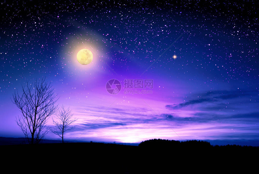 夜空与大满月的树木剪影图片