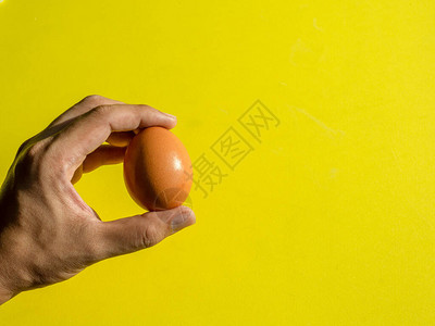 手握着鲜鸡蛋图片
