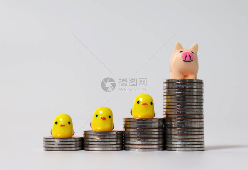 图形状的硬币堆和一只微型粉红色猪和三只微型黄色小鸡图片