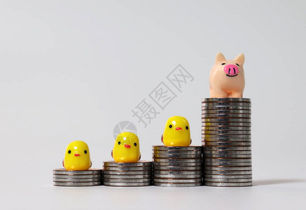 图形状的硬币堆和一只微型粉红色猪和三只微型黄色小鸡图片