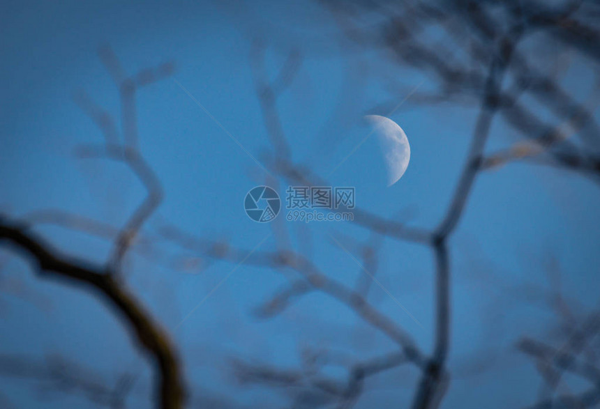 称为农历俳句的风景图片