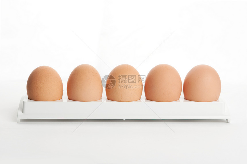 母鸡的蛋在持有器里图片