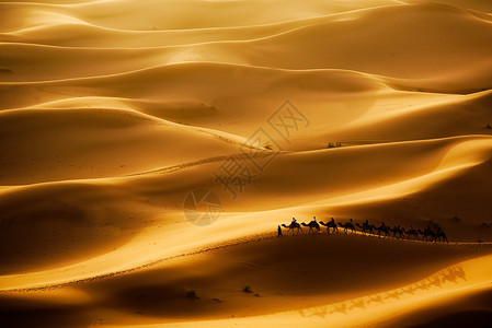 穿越撒哈拉沙漠丘的骆驼大篷车ErgChebbi图片