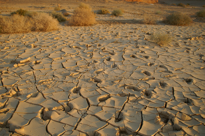 干燥的土壤没有水沙漠土地图片