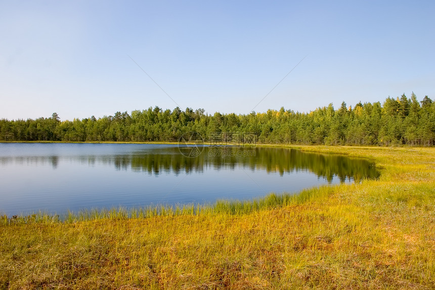 被沼泽包围的小木湖图片