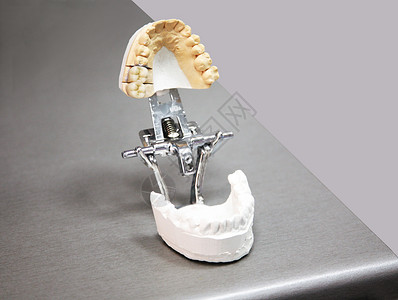 特别工具成本上的牙齿假肢模型放在图片