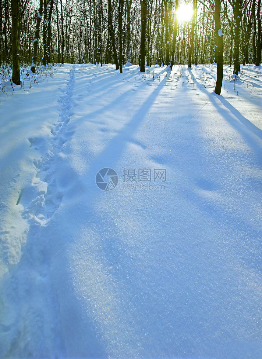 与太阳的光芒的冬天风景图片