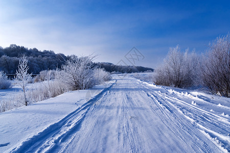 雪覆盖了森林和道路图片