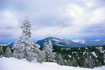 冬季山地景观乌克兰图片