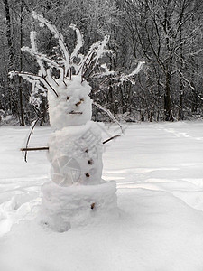 冬季场景中的天然雪人图片