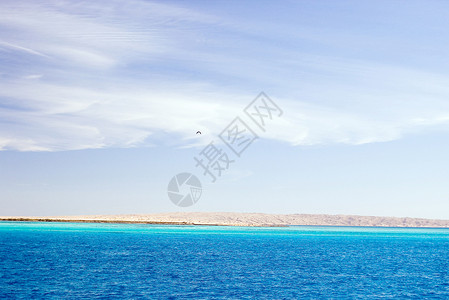 红海的岸蓝色的大海和天空图片