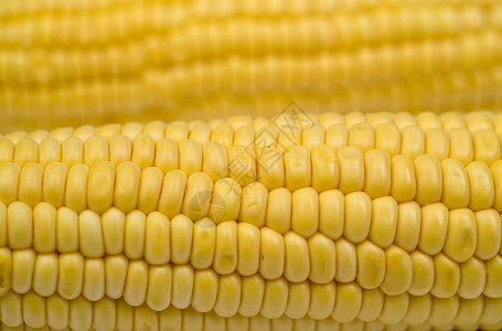 玉米芯的特写背景图片