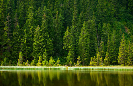 晨光照亮的松山湖背景