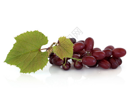葡萄藤上的红葡萄在白色背景图片