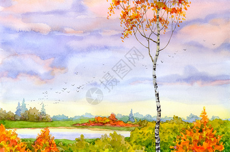 水色落寞的白桦望秋的远方图片