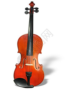 古典小提琴白色背景图片