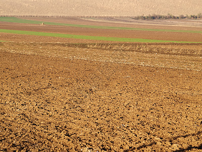 小麦农场犁过的田地背景图片