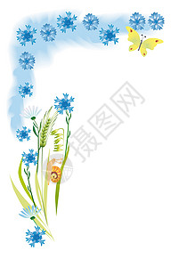 白色背景中的夏季花卉和草本植物图片