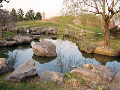 春季自然公园风景花园的图片