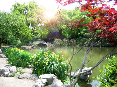 春季自然公园布景杭州西湖越图片