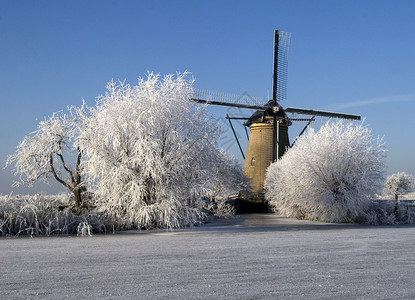 一张荷兰风车在冬天的照片图片