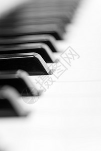钢琴键盘有选择图片