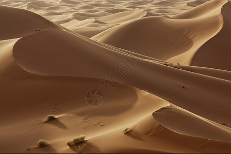 夜光下撒哈拉沙漠的高沙丘图片