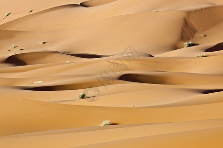 撒哈拉沙漠中的阴影沙丘图片