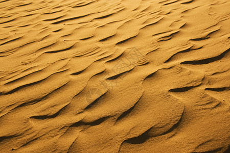 撒哈拉沙漠早晨阳光下的沙纹图片