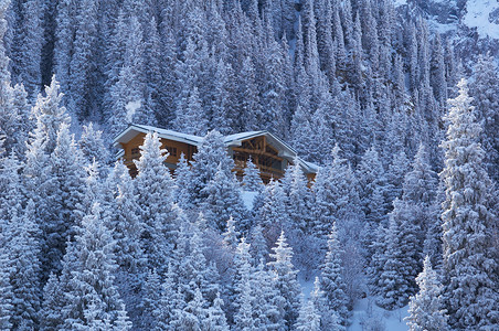 冬寒密林中的大木屋在图片