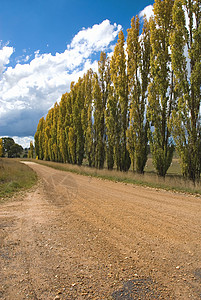 澳大利亚新南威尔士州中西部地区一条乡村公路旁的一图片