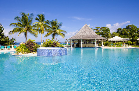 酒店的游泳池多巴哥图片