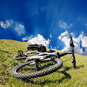 在草地上骑自行车图片