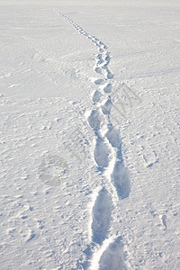 一个人在深雪中行走留下脚印在青背景图片