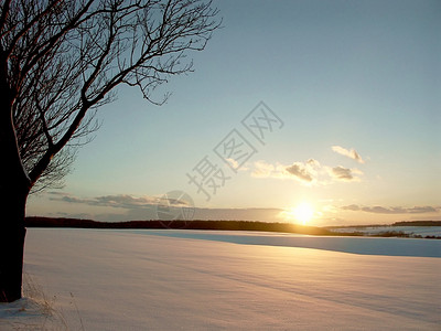 冬天的日落在雪上覆着的田地上在图片