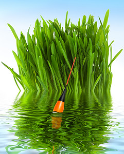 钓鱼漂浮在以绿草为背景的水中图片