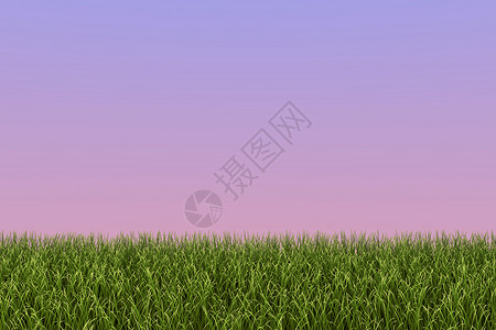 黄昏背景下的一片草地的图像图片