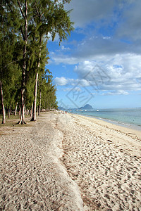 毛里求斯西海岸FlicenFl图片