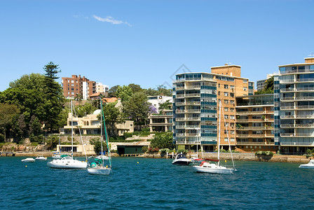 澳大利亚悉尼港岸沿一带的图片