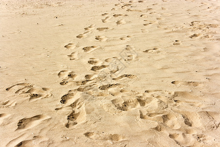 黄沙上的人类足迹图片