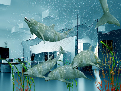 现代办公室内部的海豚群3D图片