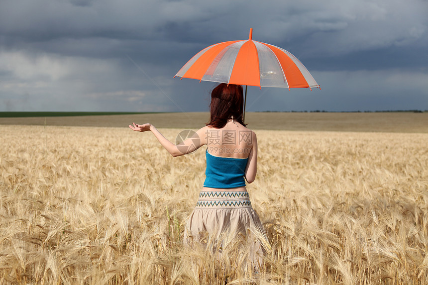雨天在田野打伞的女孩图片